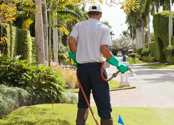 About Millbrook AL Pest Control